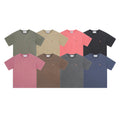 Carhartt WIP Chase T-Shirt (Essential Color Pack)